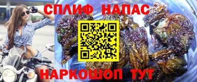 гашиш Новокубанск