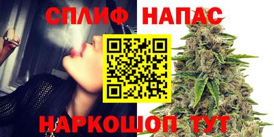 spice Новодвинск