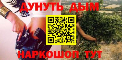spice Новодвинск