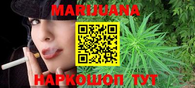 spice Новодвинск