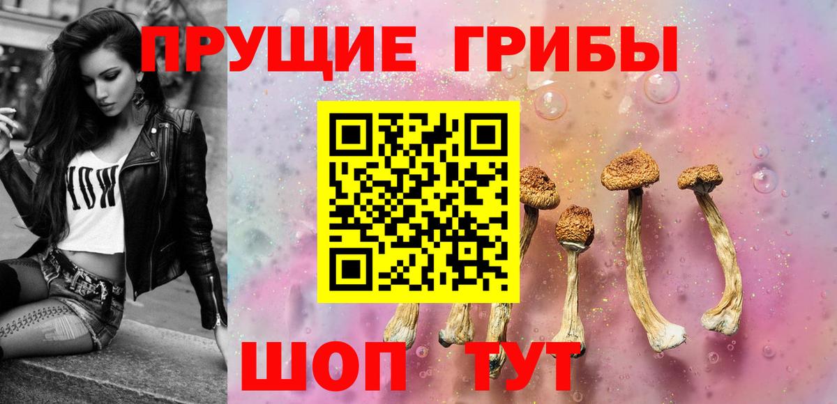 Псилоцибиновые грибы Psilocybe  Вход с VPN  Муром  Псилоцибиновые грибы мицелий 